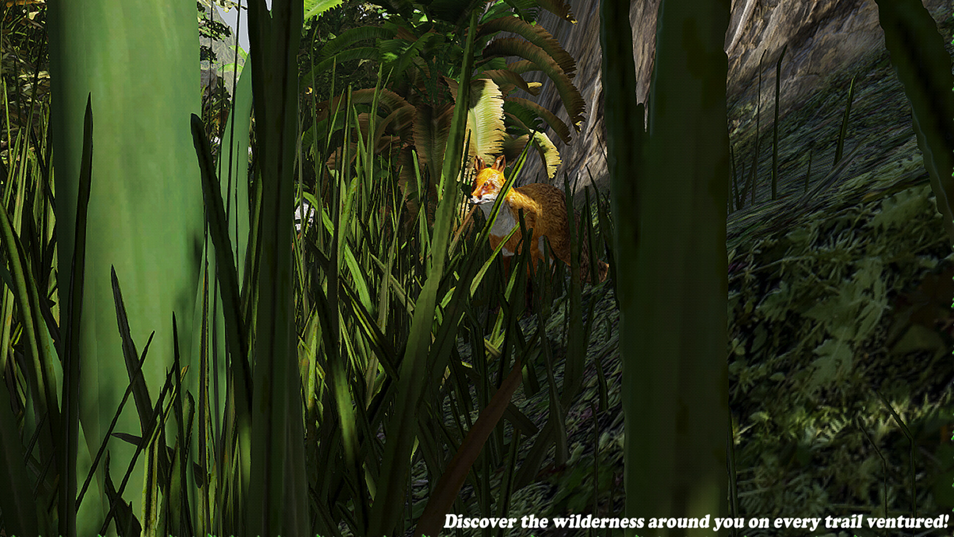 Hiked screenshot 8