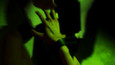 Screenshot 37