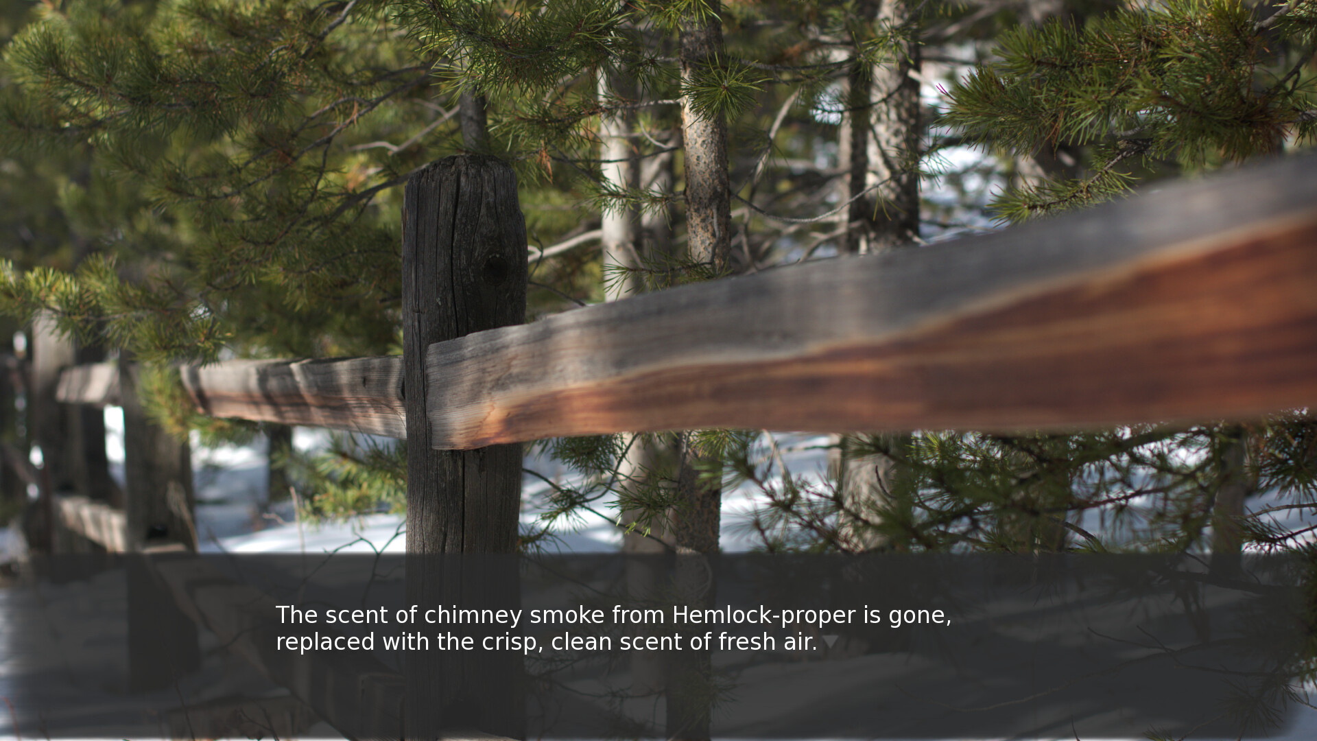 Look Inside screenshot 9