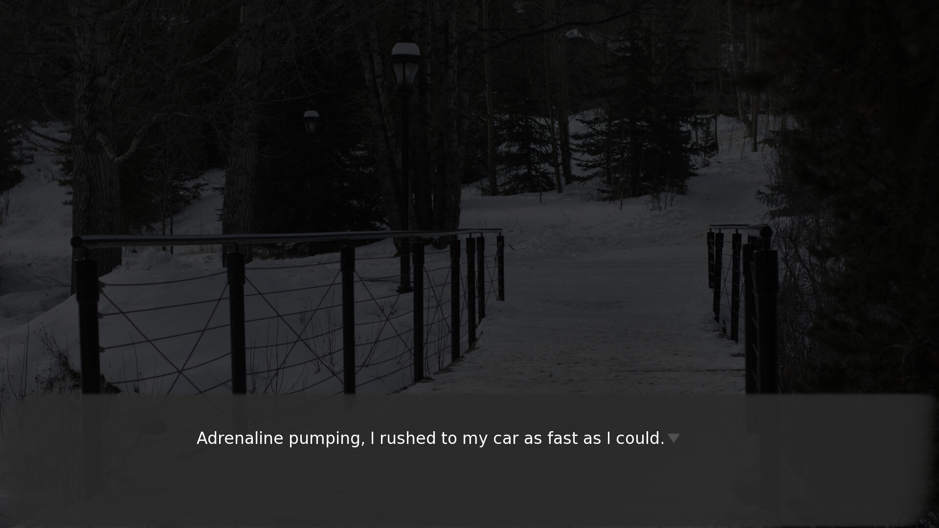 Look Inside screenshot 11
