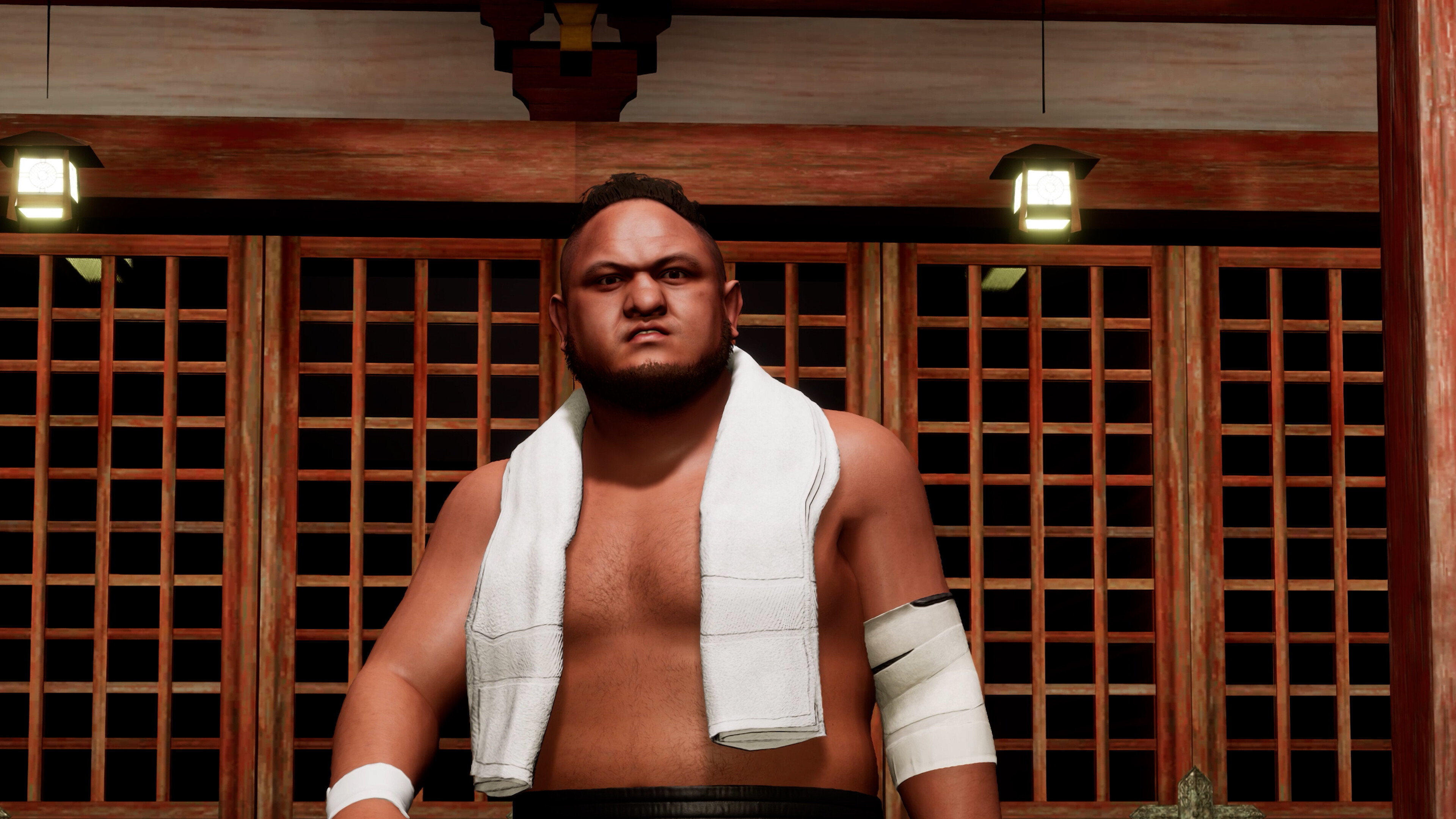 AEW: Fight Forever - World War Joe screenshot 1