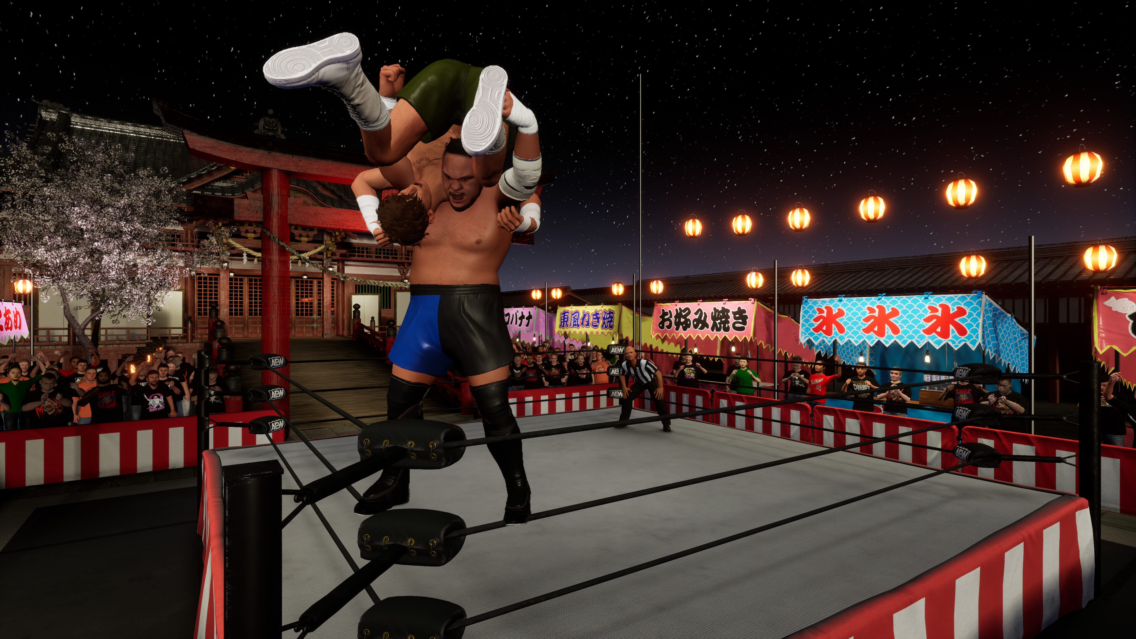 AEW: Fight Forever - World War Joe screenshot 2