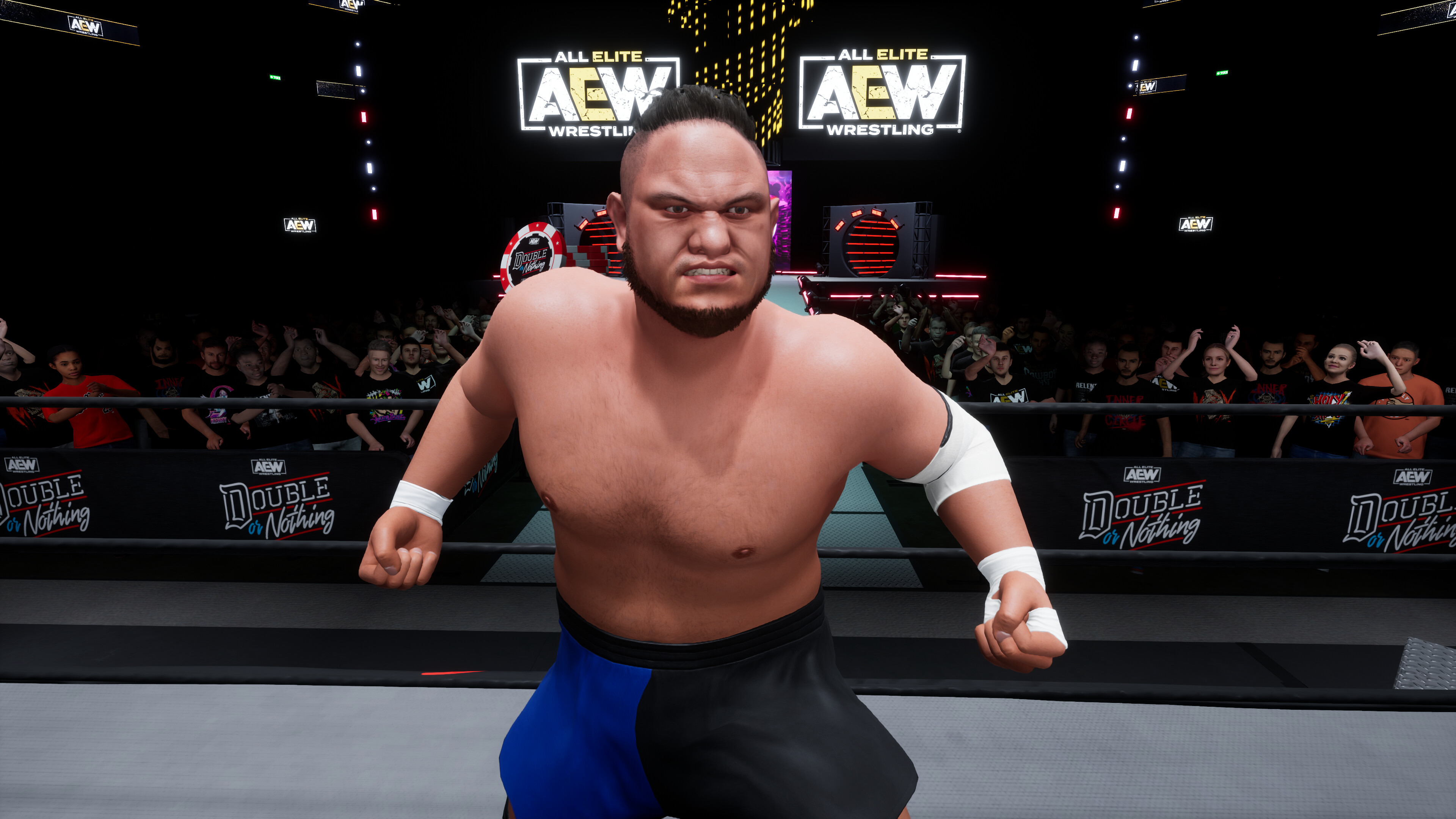 AEW: Fight Forever - World War Joe screenshot 4