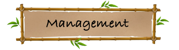 Management.png