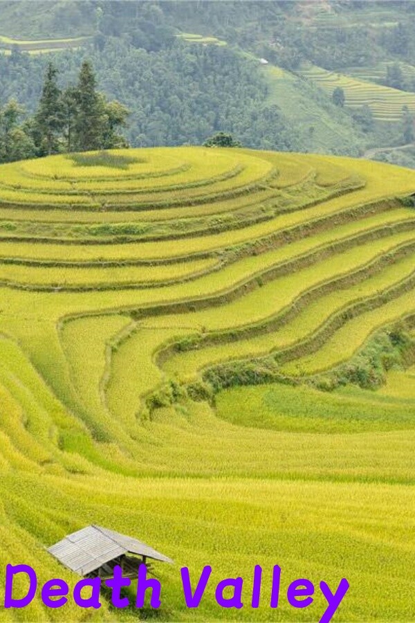 8b5c1546-b370-5318-ebda-eea833ea8b60