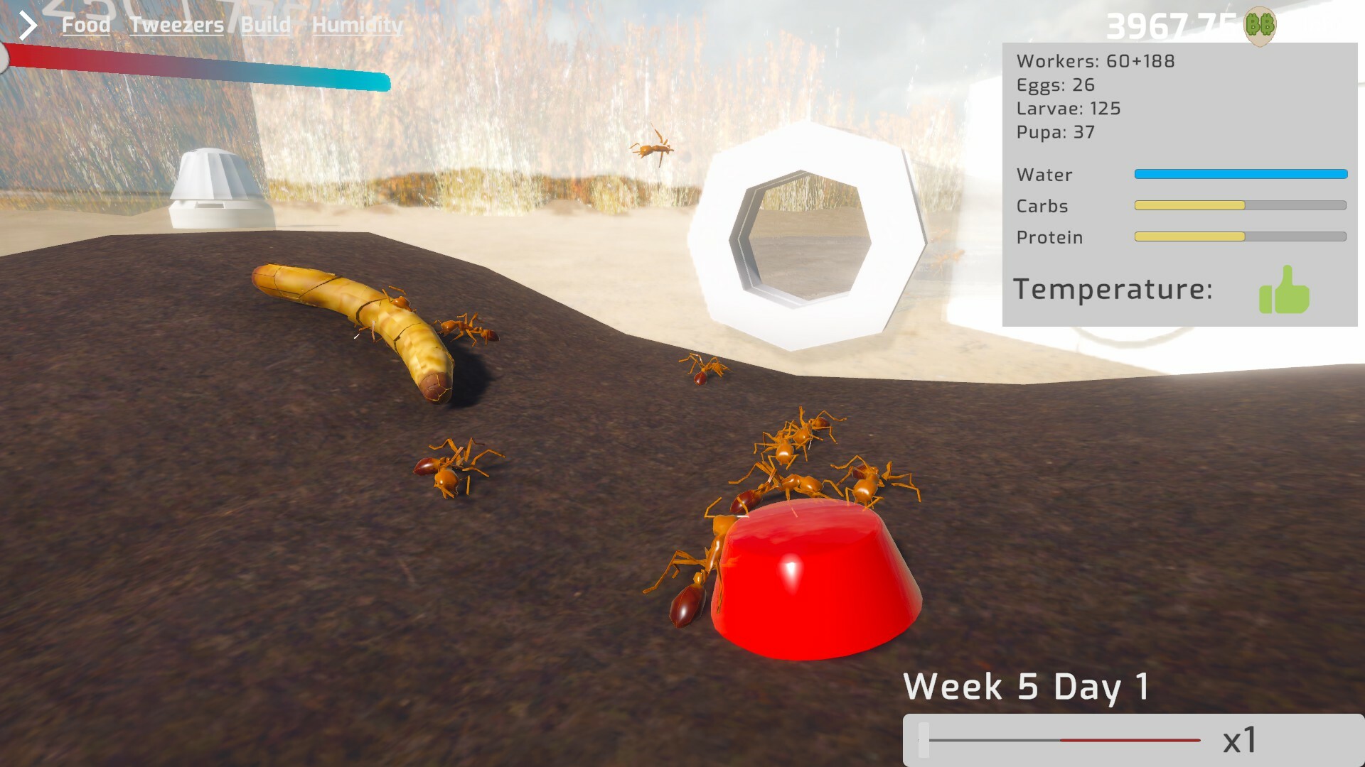 Ant Keeping Simulator screenshot 2