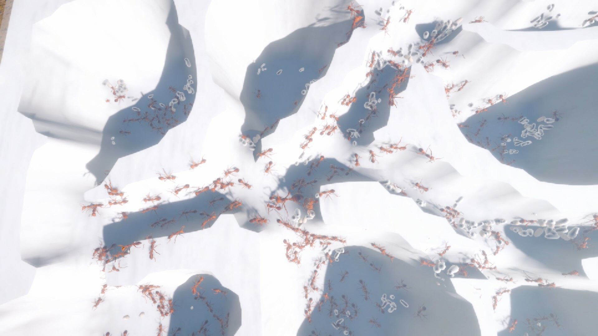 Ant Keeping Simulator screenshot 1