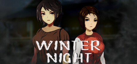 Winter Night Cover Image