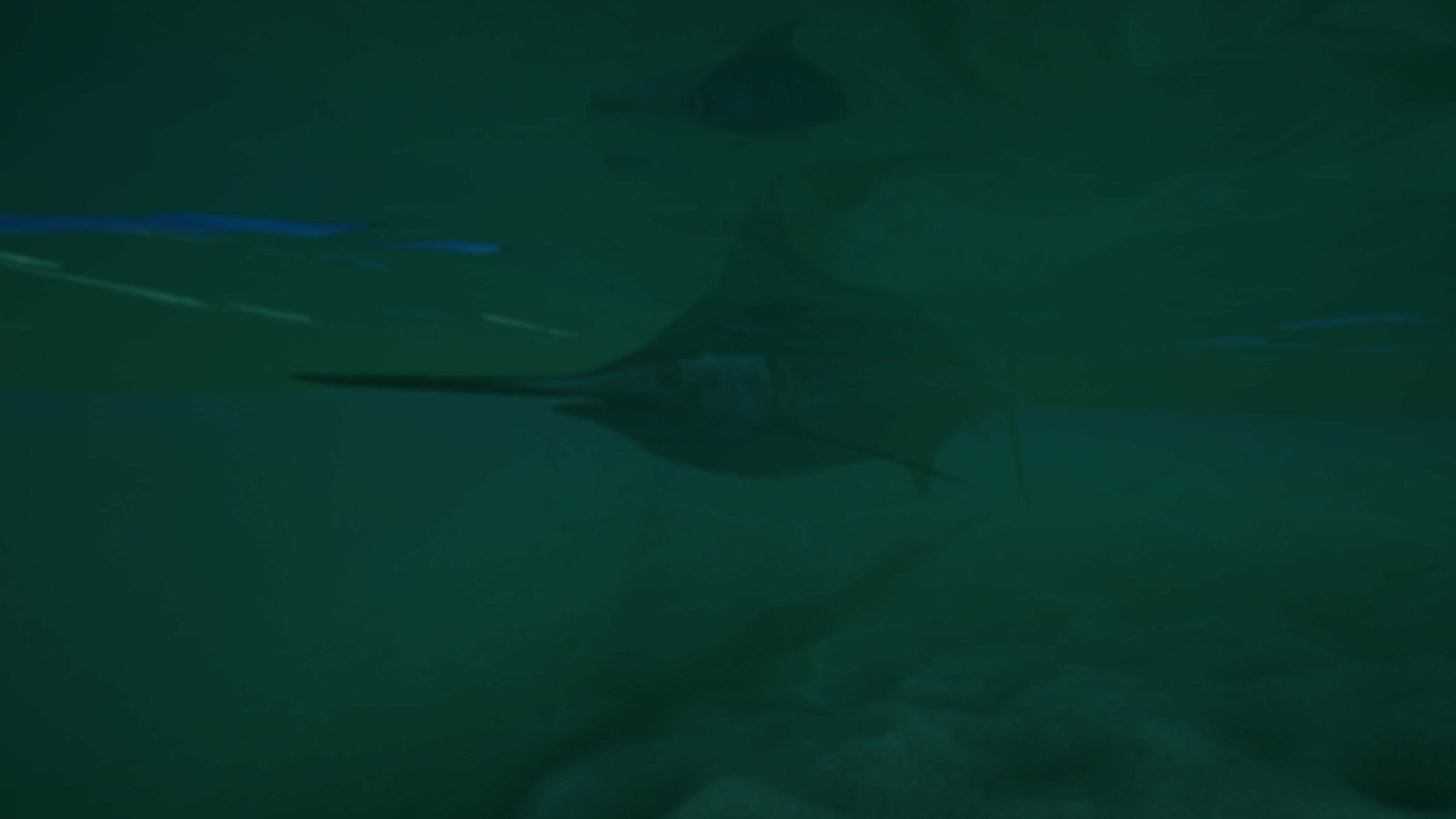 Ultimate Fishing® Simulator 2 - Delaware Bay screenshot 8