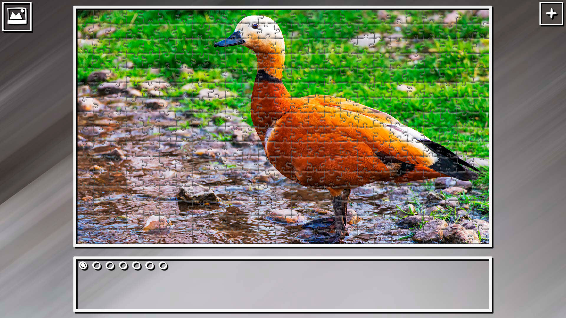 Super Jigsaw Puzzle: Generations - Birds 2 screenshot 22