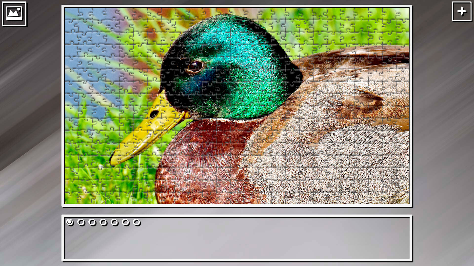 Super Jigsaw Puzzle: Generations - Birds 2 screenshot 20