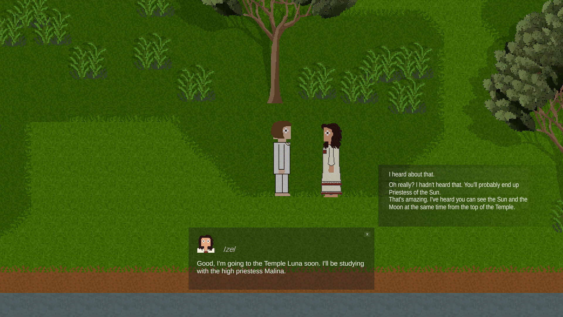Nocturnal Sun screenshot 10