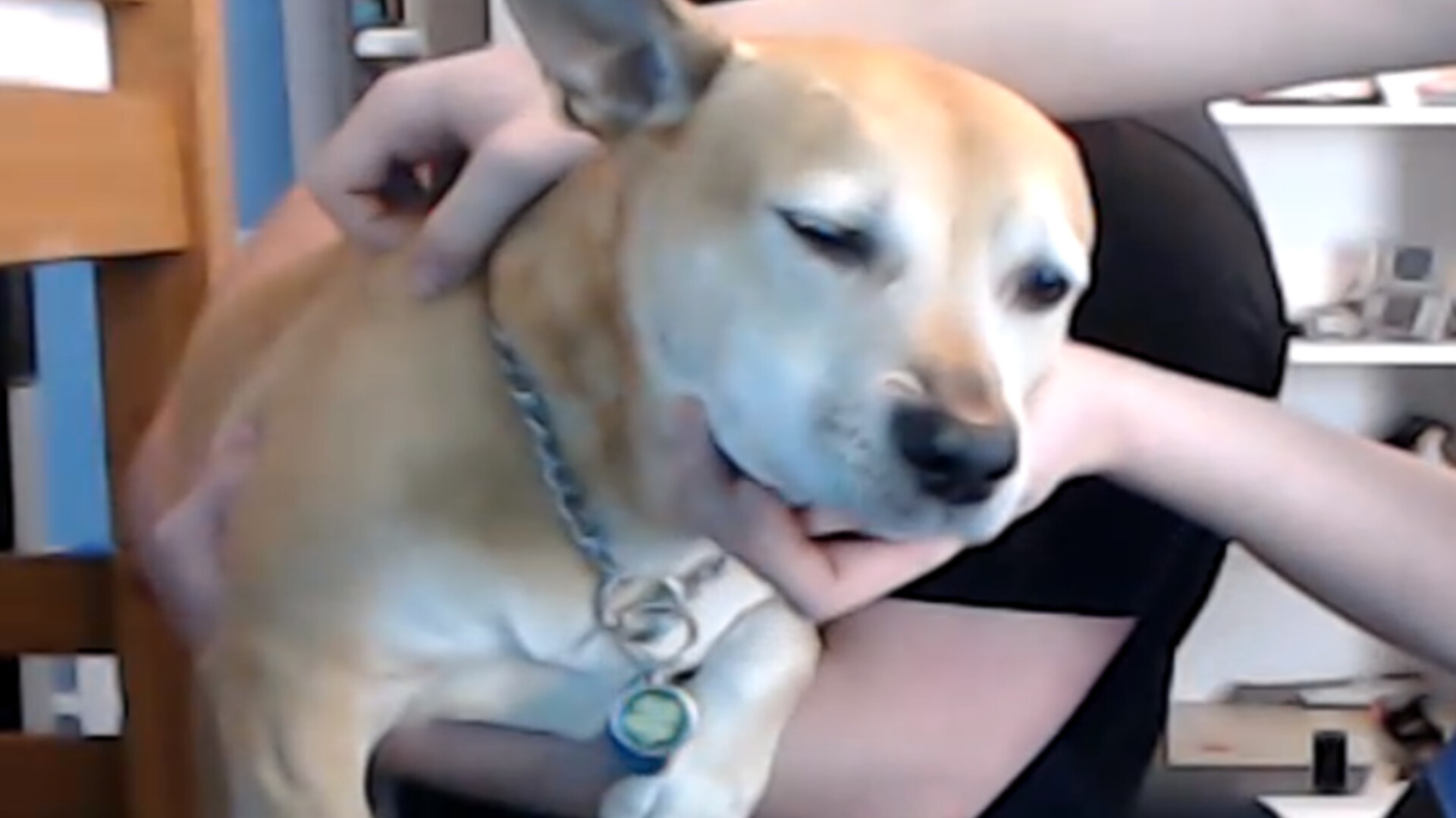 FLIKK screenshot 9