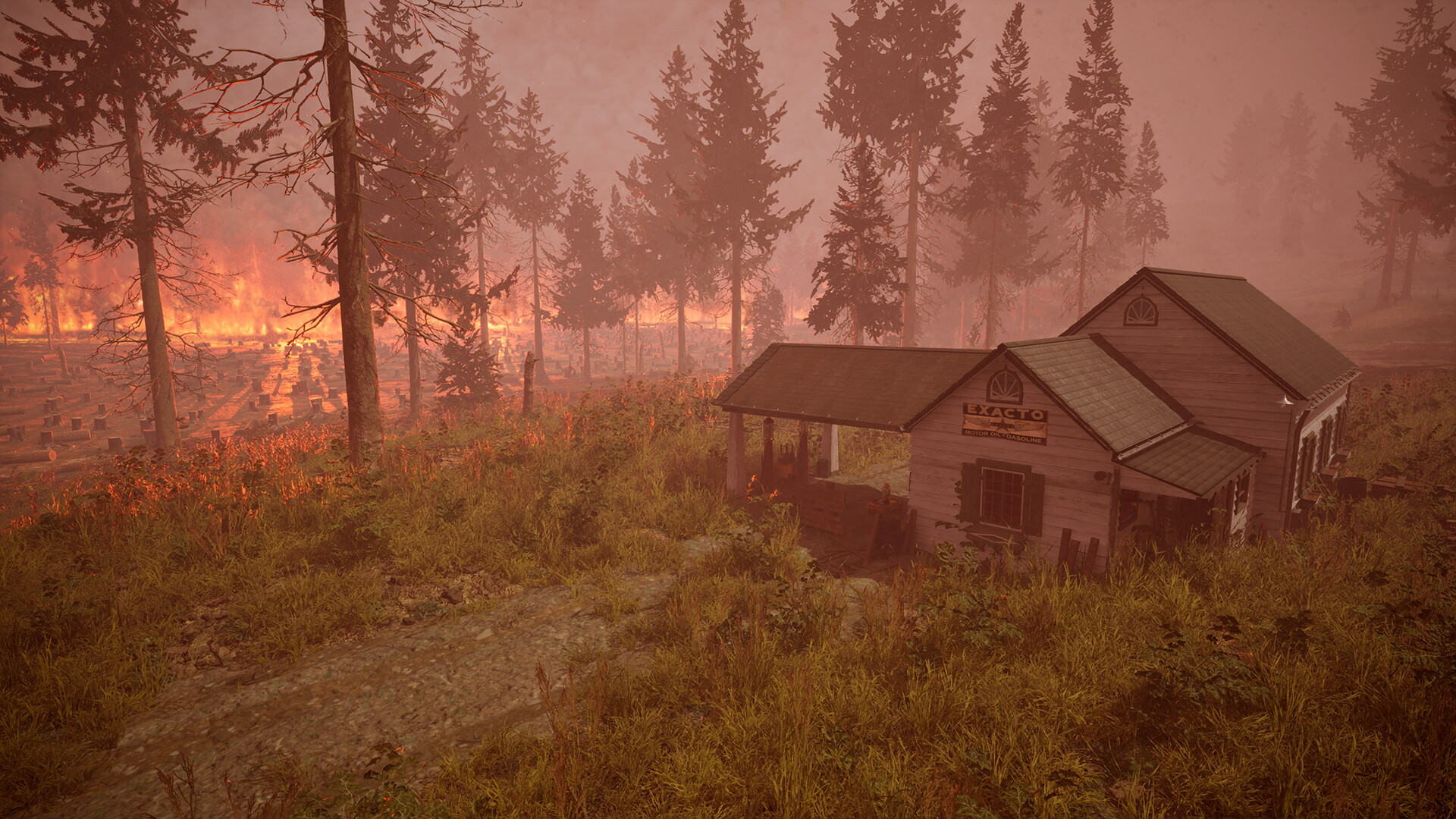 FIRE screenshot 3