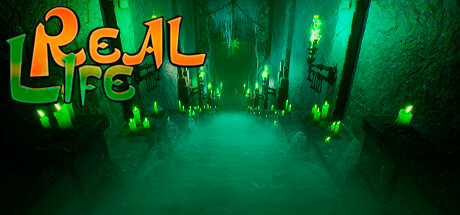 Real Life — Steam header