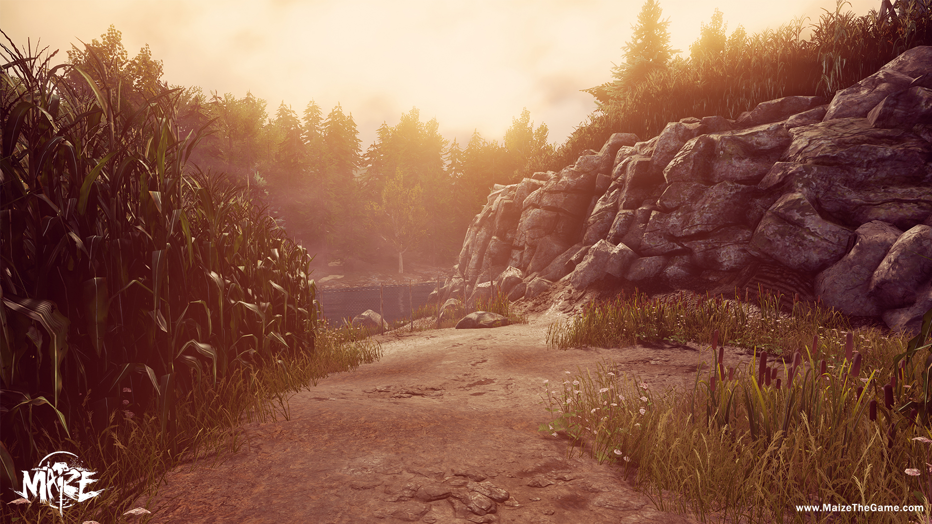 Maize screenshot 4