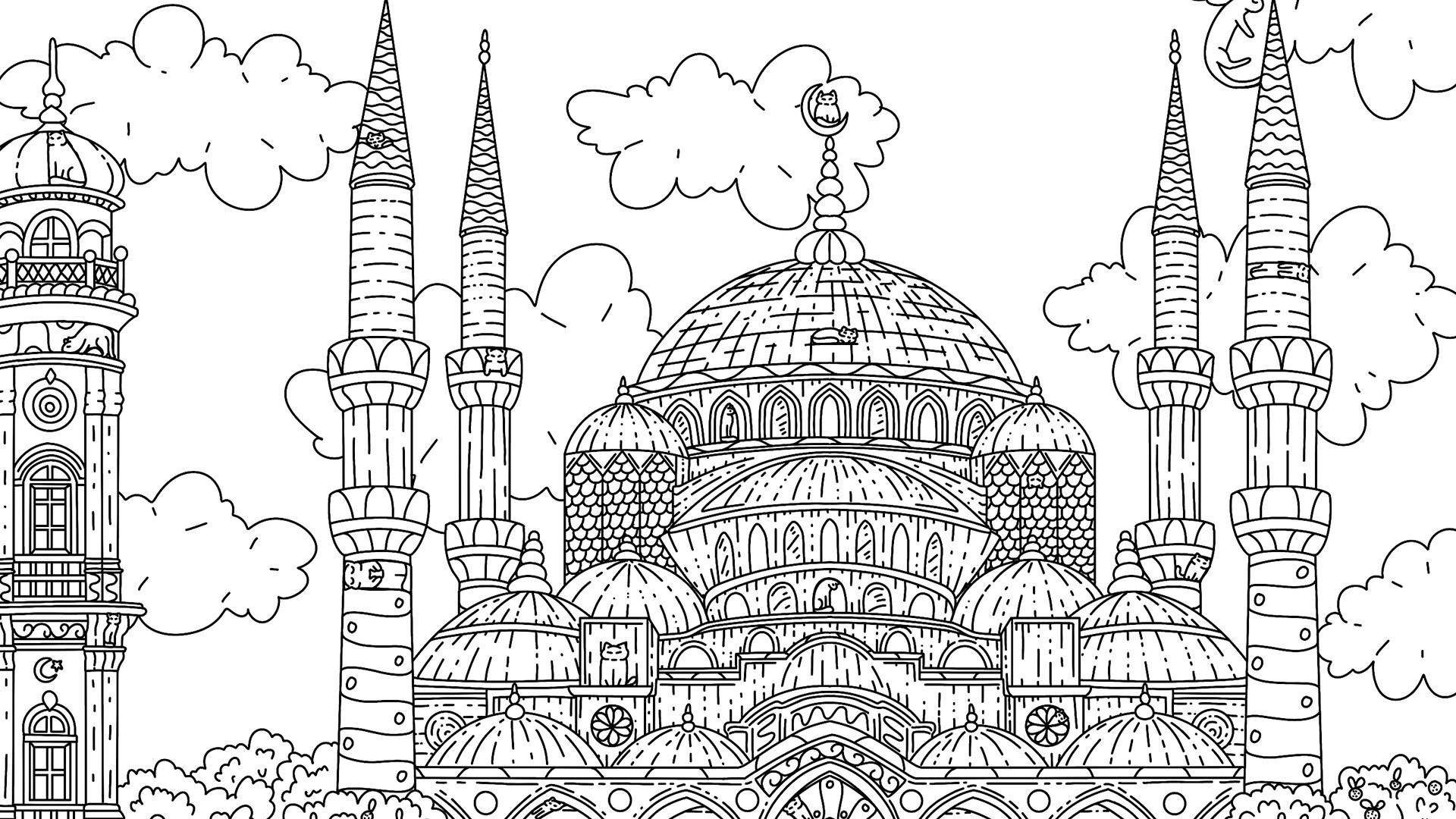 100 Istanbul Cats screenshot 15