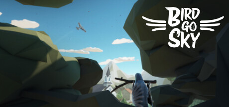 Bird Go Sky Cover Image