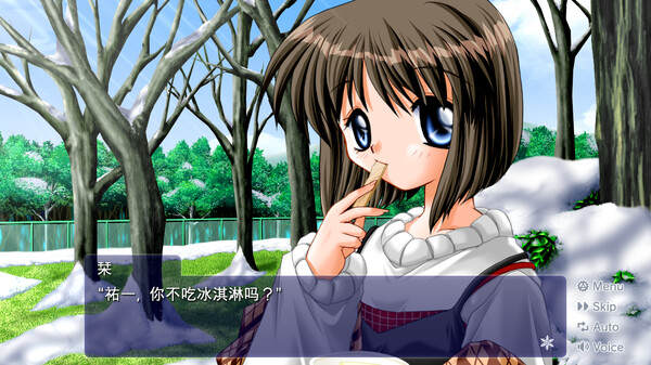 图片[5]|【PC/汉化】雪之少女 / Kanon | 萌站.com