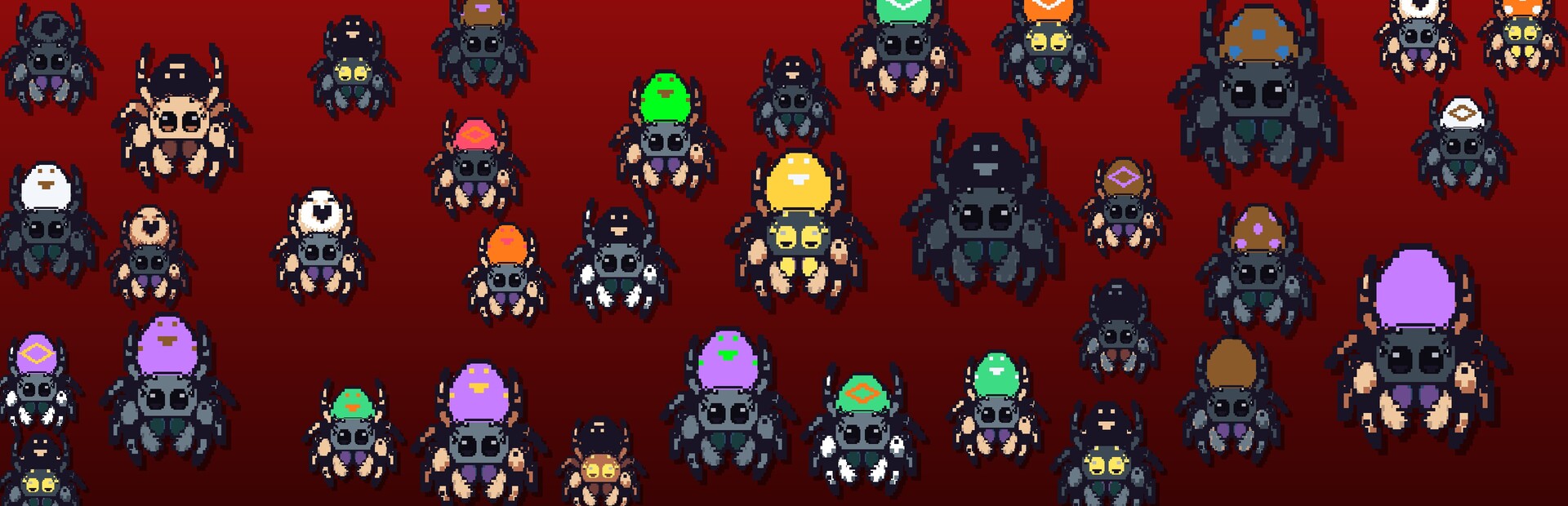 Salticidae Story