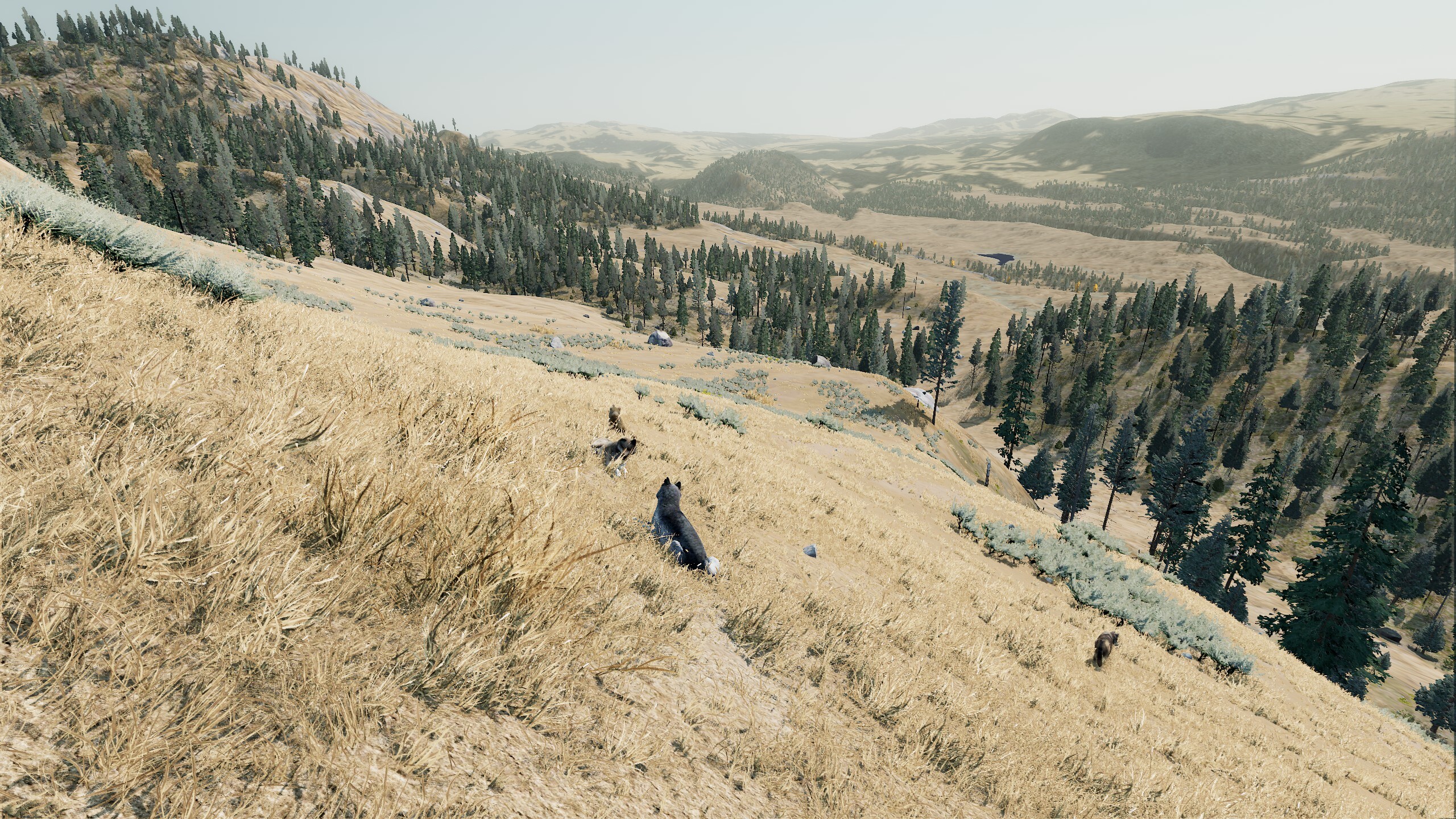 WolfQuest Anniversary - Hellroaring Mountain screenshot 7