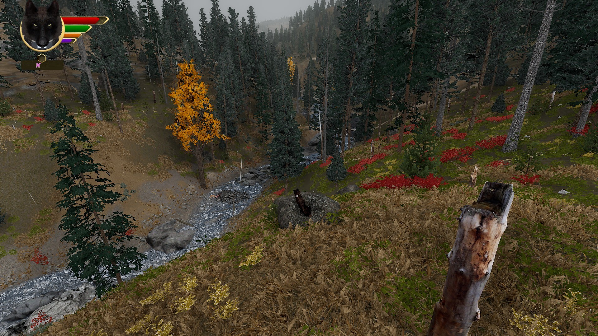 WolfQuest Anniversary - Hellroaring Mountain screenshot 9