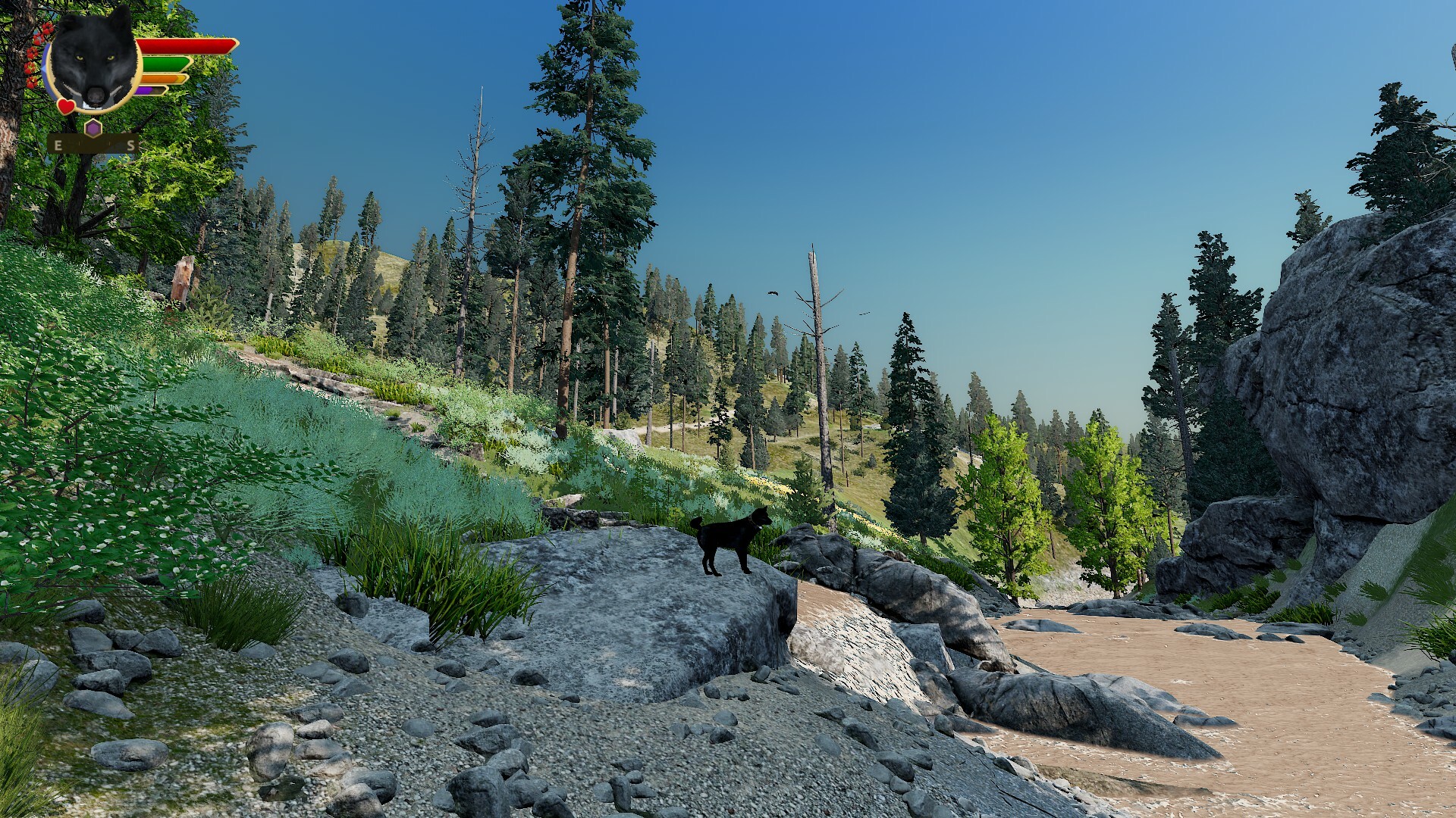 WolfQuest Anniversary - Hellroaring Mountain screenshot 11