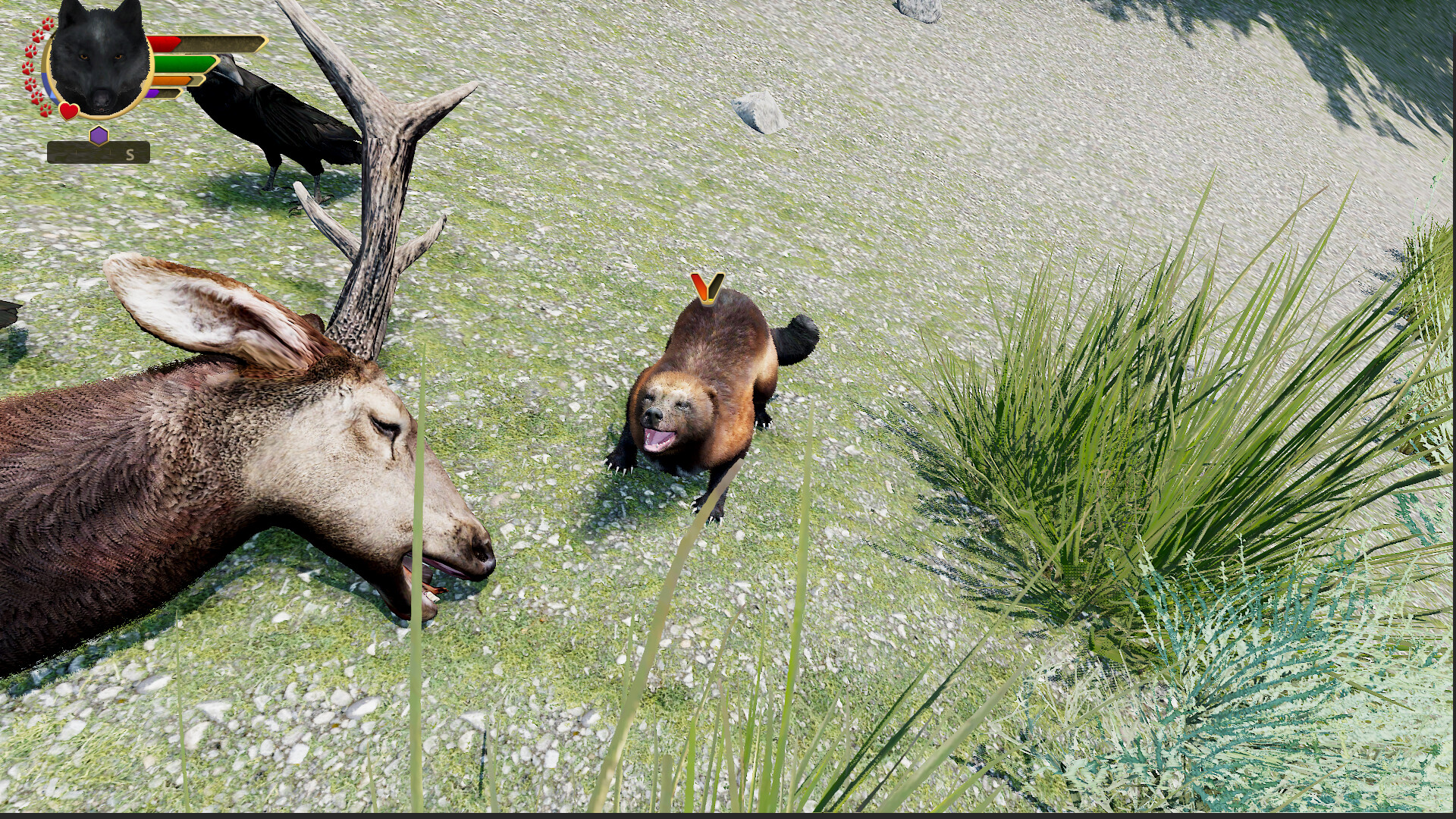 WolfQuest Anniversary - Hellroaring Mountain screenshot 4