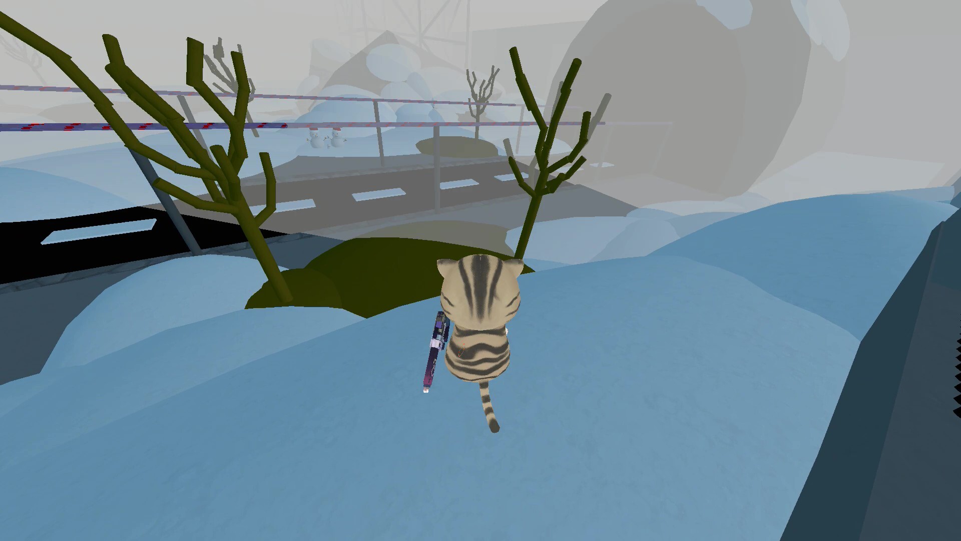 CatTag: Create screenshot 5