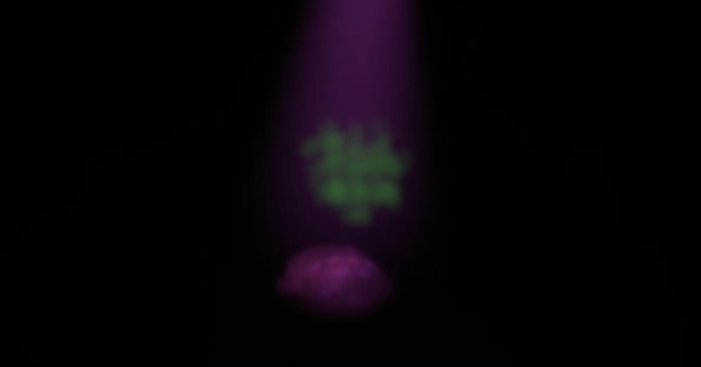 Somnium Tenebris screenshot 7