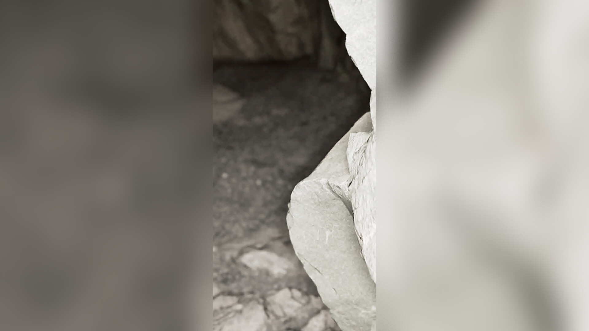 HOLLOW EARTH screenshot 2