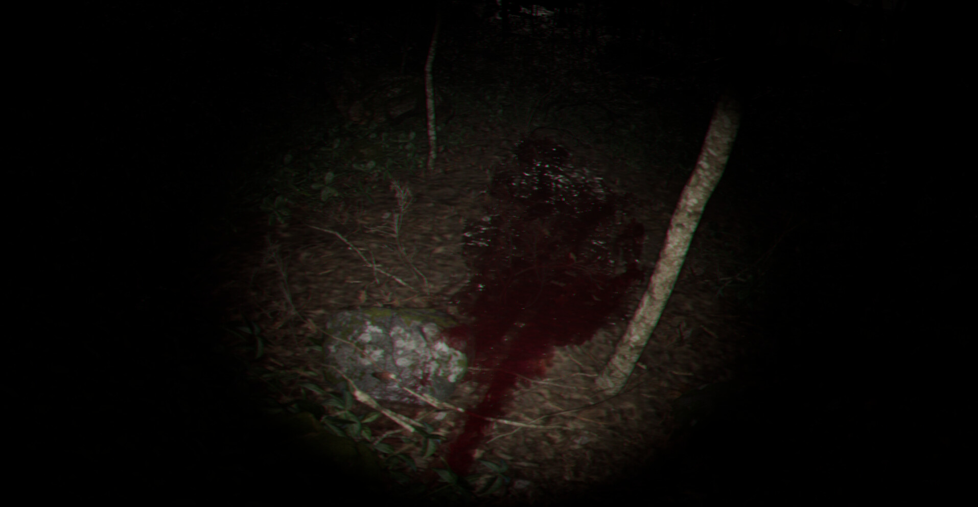 Playback Trauma: The Dog screenshot 6