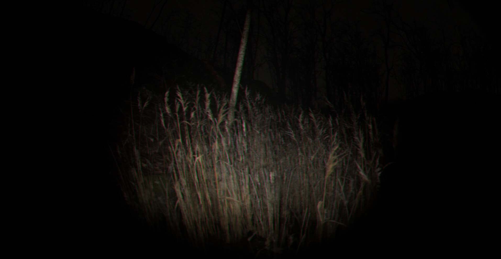 Playback Trauma: The Dog screenshot 5