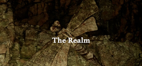 The Realm Cover Image