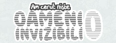 Am cerut niște oameni invizibili 0