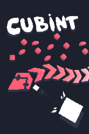 Cubint