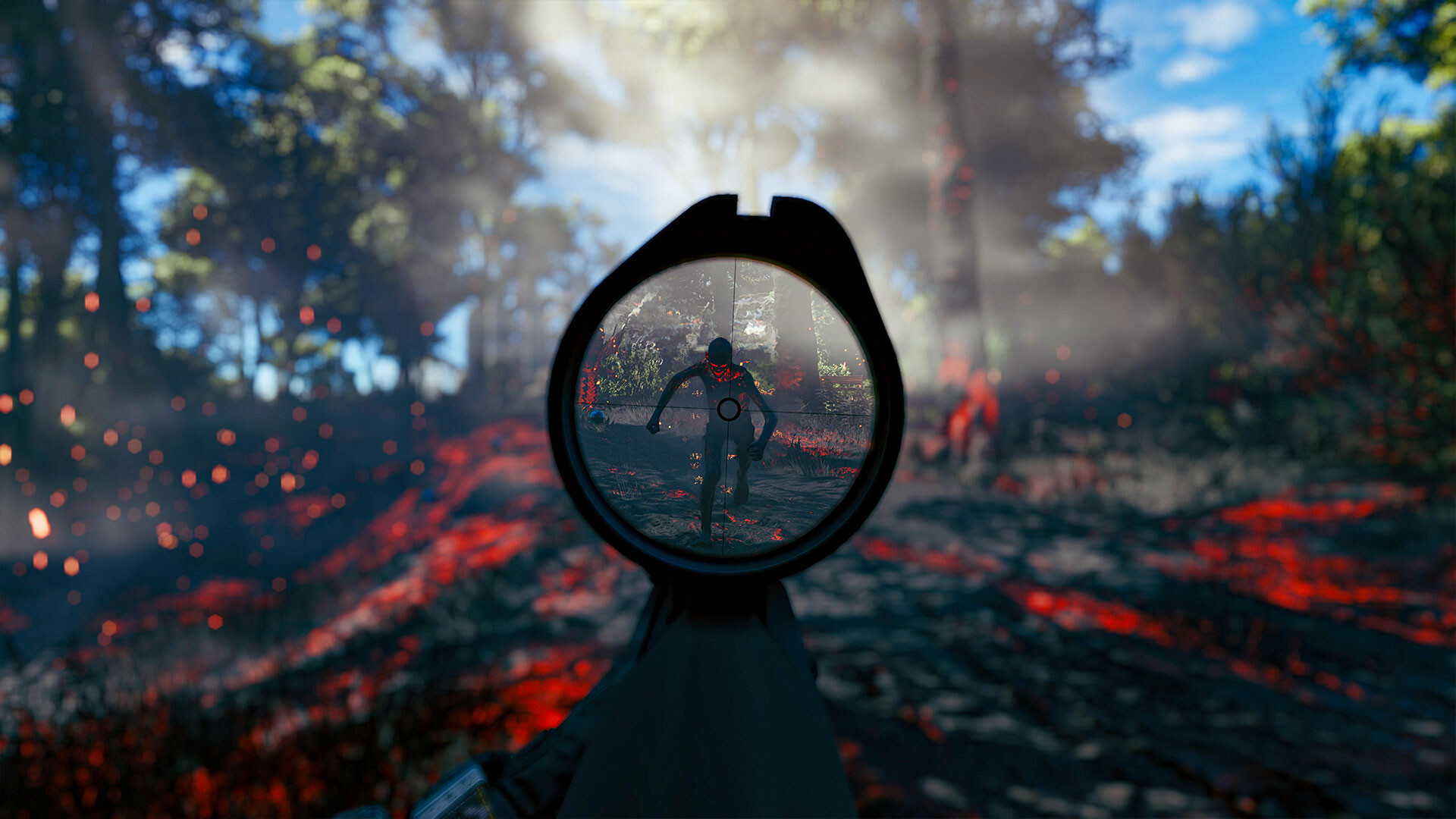 Captura n.º 13