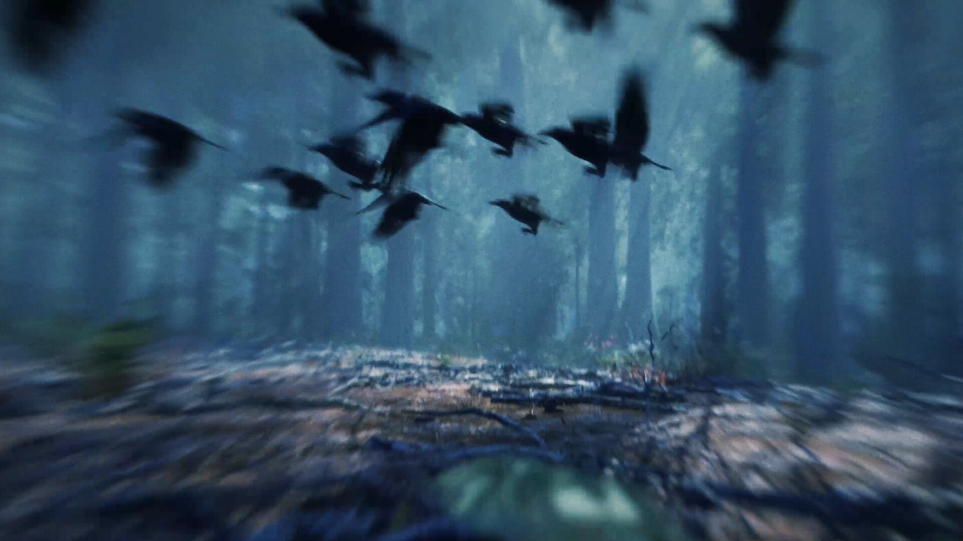 edxn screenshot 6