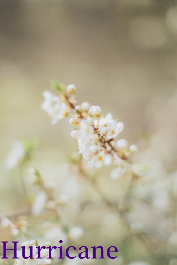 8d046c58-ab86-4279-ded2-65d3dda7bcdc