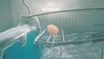 A screenshot of Egging On
