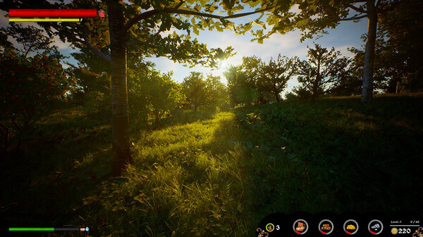 Screenshots