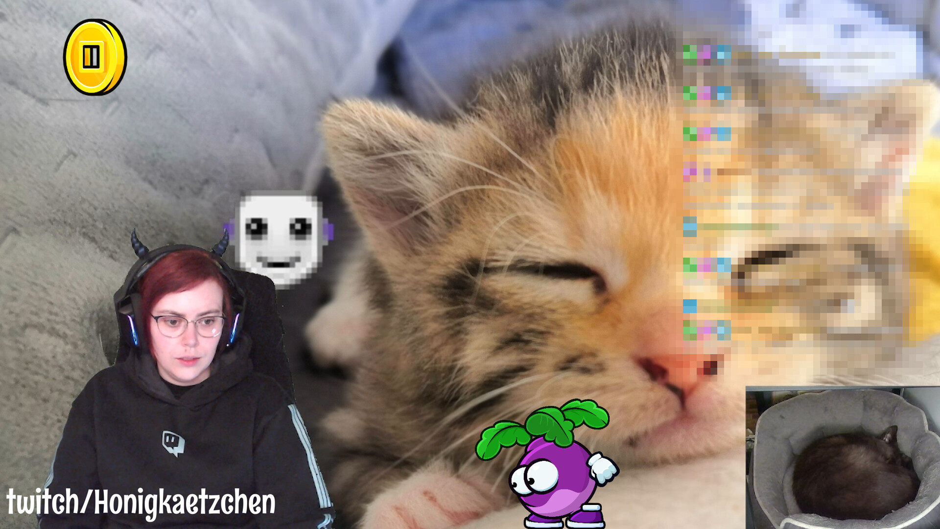 StreamAnimations screenshot 3