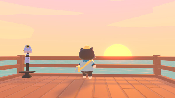 Catto staring at the sunset.