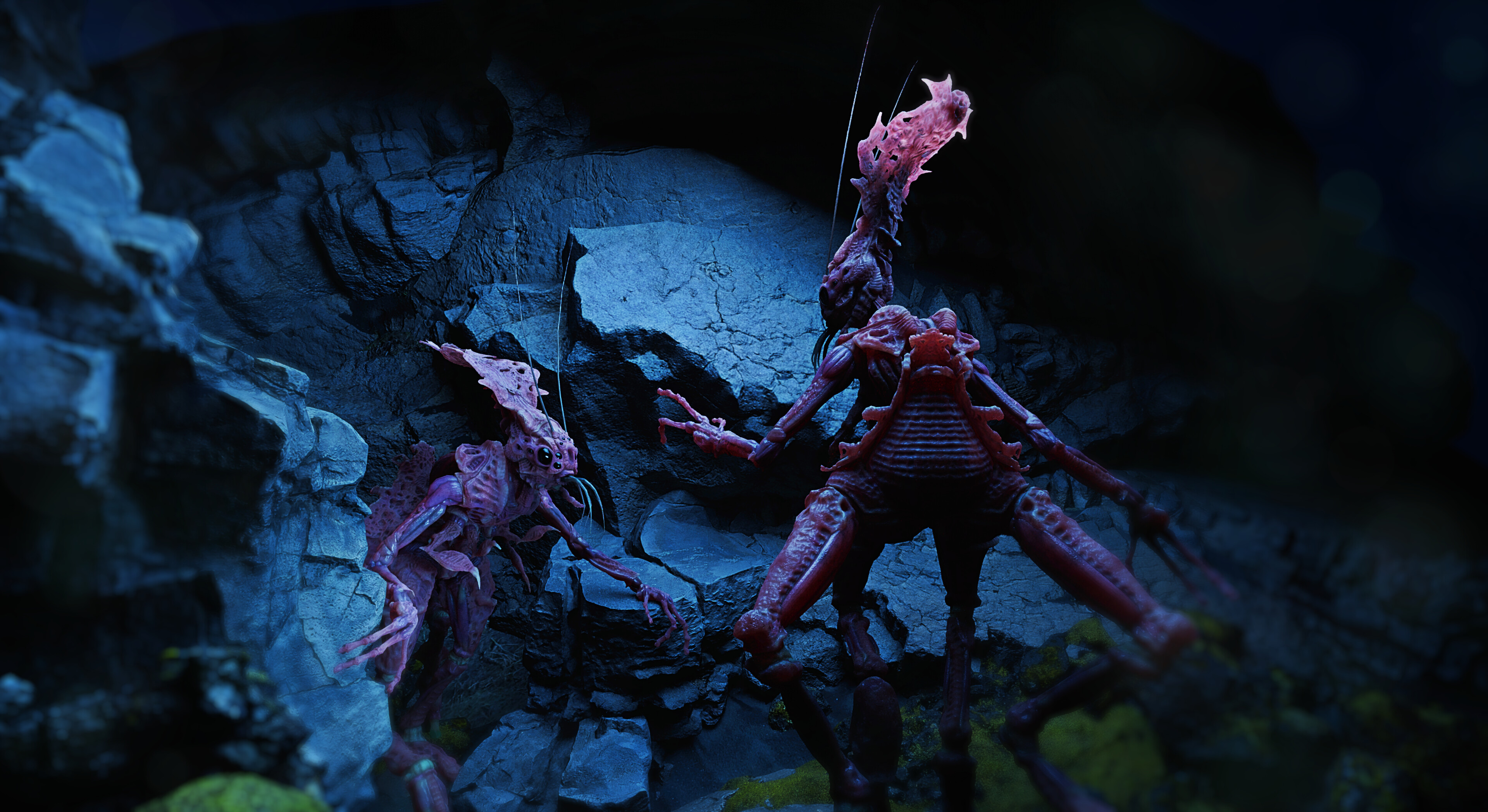 Sifera screenshot 1