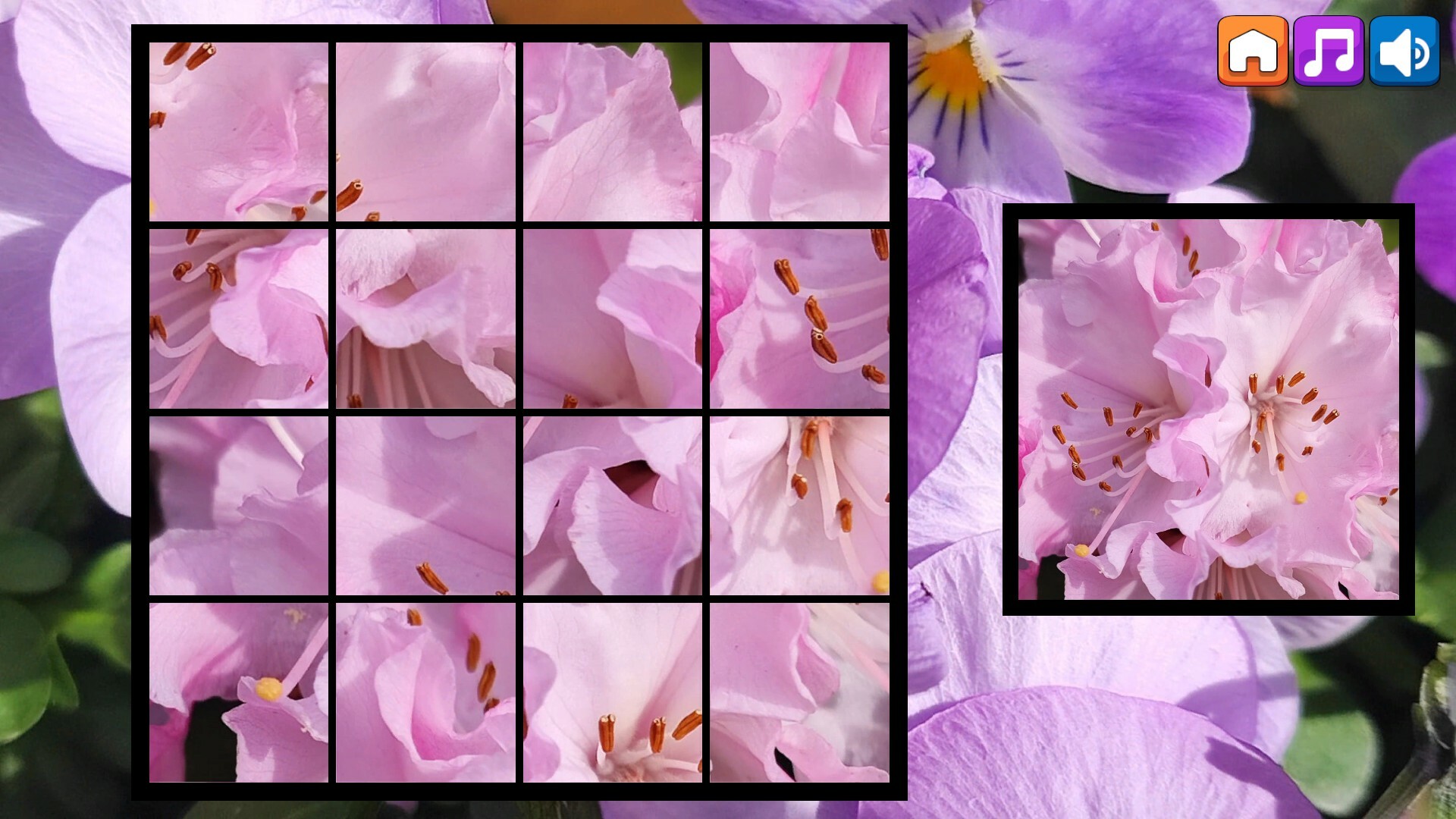 OG Puzzlers: Spring 2K24 screenshot 5