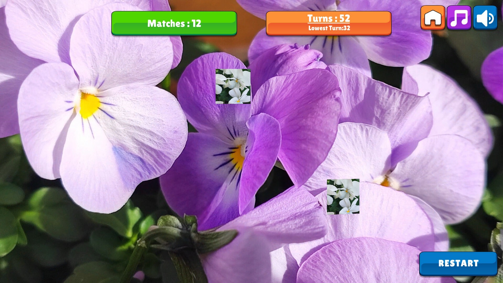 OG Memory: Spring 2K24 screenshot 4