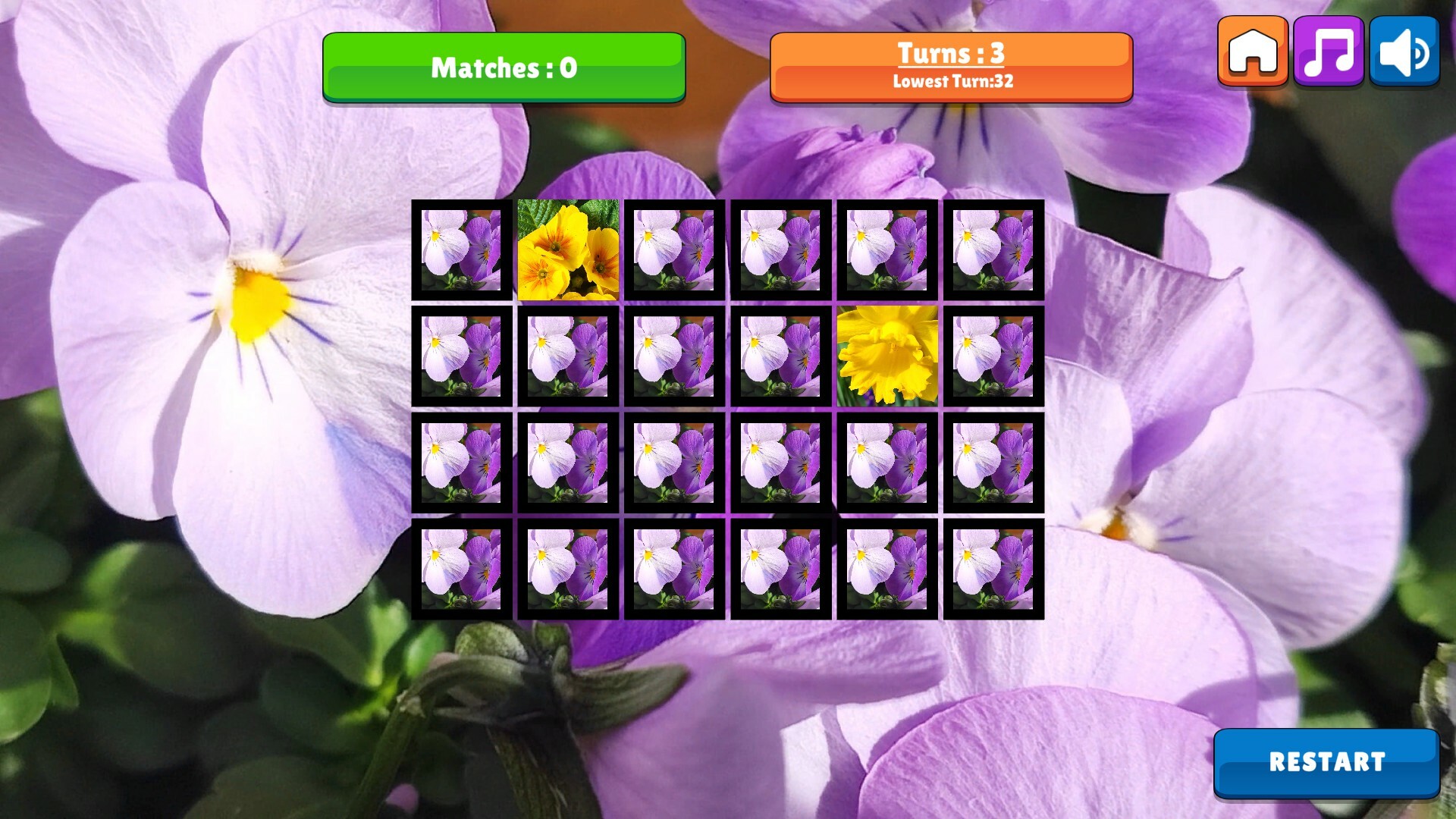 OG Memory: Spring 2K24 screenshot 7