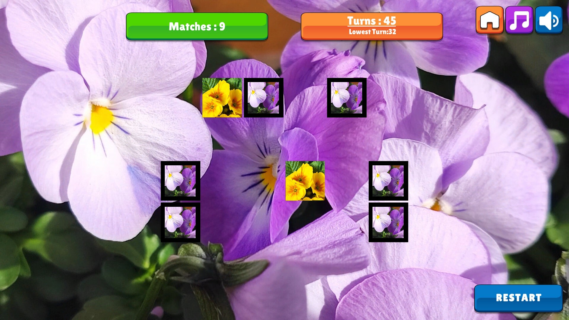 OG Memory: Spring 2K24 screenshot 3