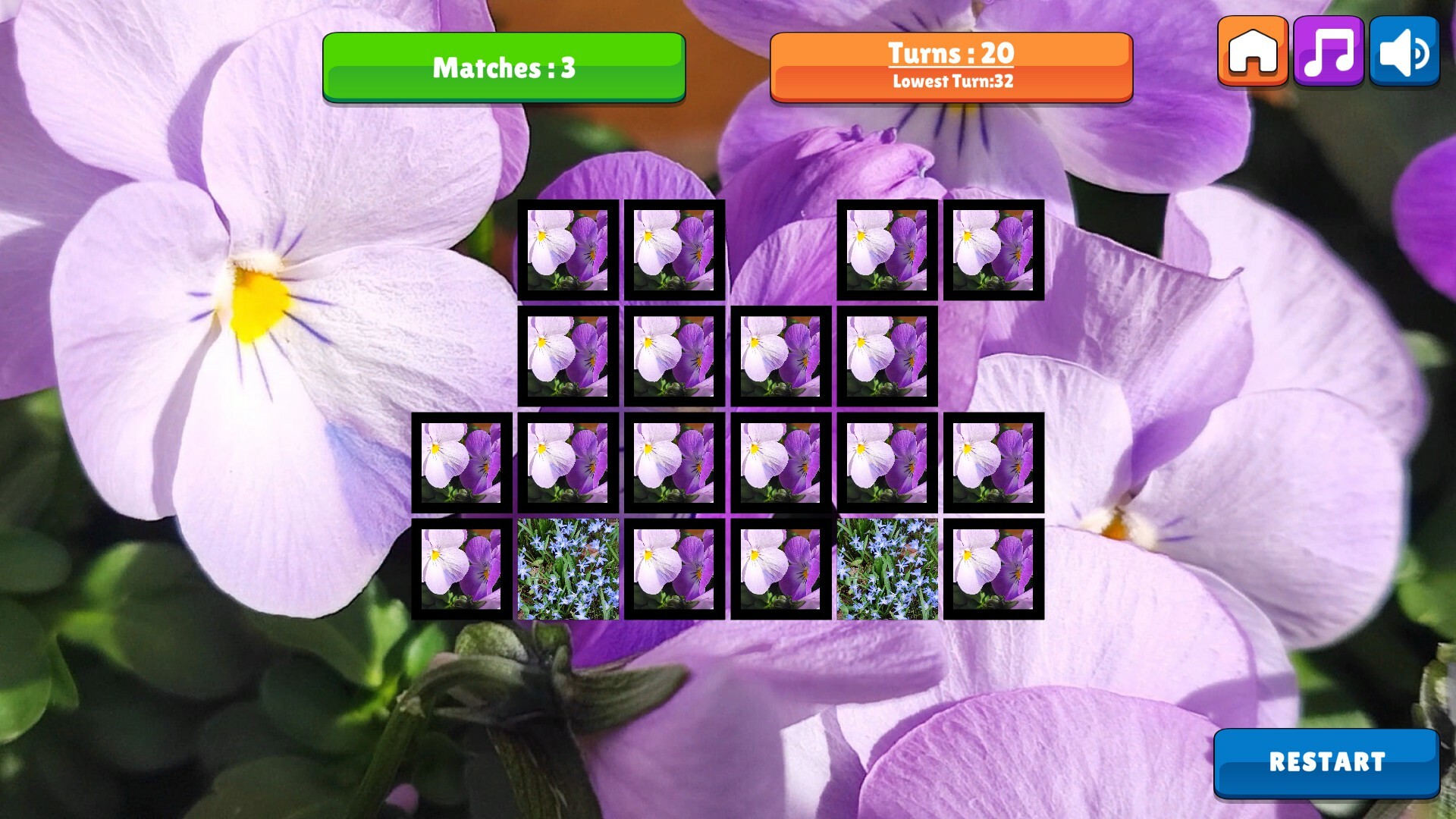 OG Memory: Spring 2K24 screenshot 1