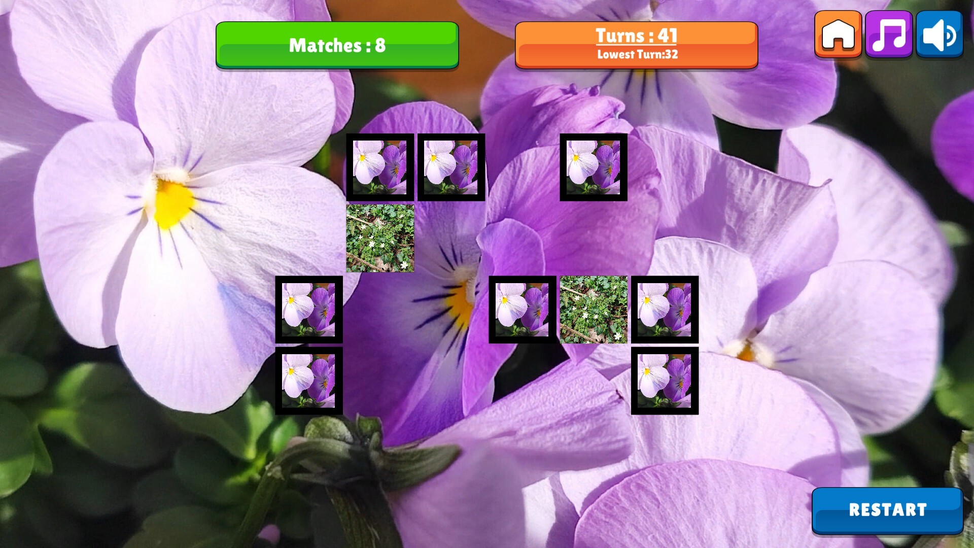 OG Memory: Spring 2K24 screenshot 5